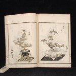 Antikes Ikebana Woodblock Print Book von IEMOTO