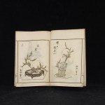 Antikes Ikebana Woodblock Print Book von IEMOTO