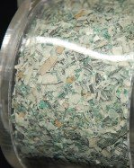 Kunst $50,000 Shredded Money