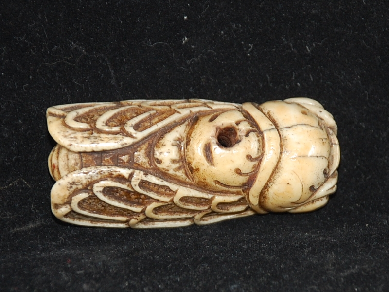 Antikes Antler Netsuke " Cicada " EDO Zeit