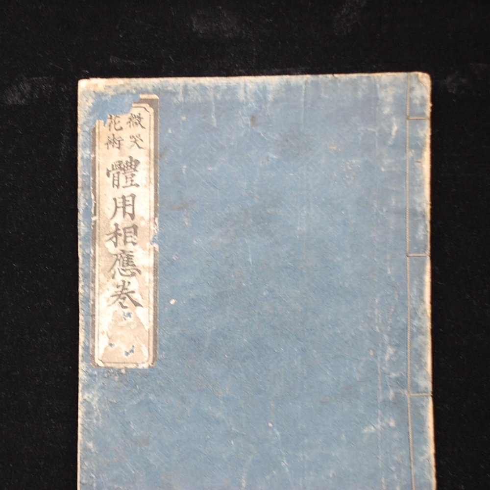 Antikes Ikebana Woodblock Print Book von IEMOTO