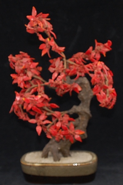 Grosser Feng Shui Jade / Jadeit Bonsai Tree